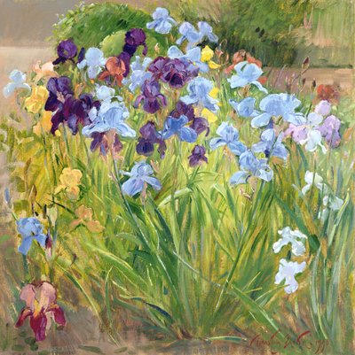 The Iris Bed, Bedfield by Timothy Easton